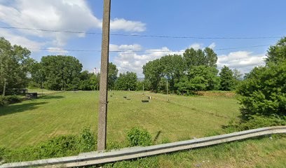 Club Canin Salaisien, Dresseur de Chiens à Agnin