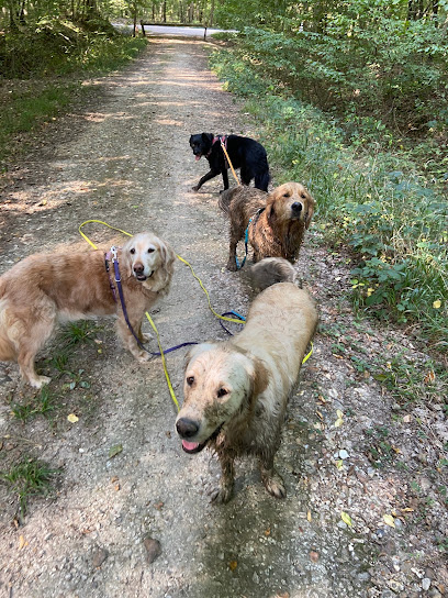 Pixzy And Co - Pension Canine À La Campagne, Pension Pour Chien à Paris 11