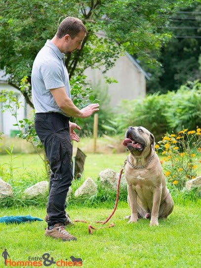 Family Pension Canine Between Men And Dogs, Dresseur de Chiens à Scaër