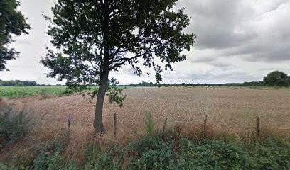 Pension canine de Jans, Pension pour Chiens à Jans