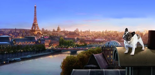 élevage Bouledogue Français, Eleveur de Chiens à Saint-Rémy-lès-Chevreuse