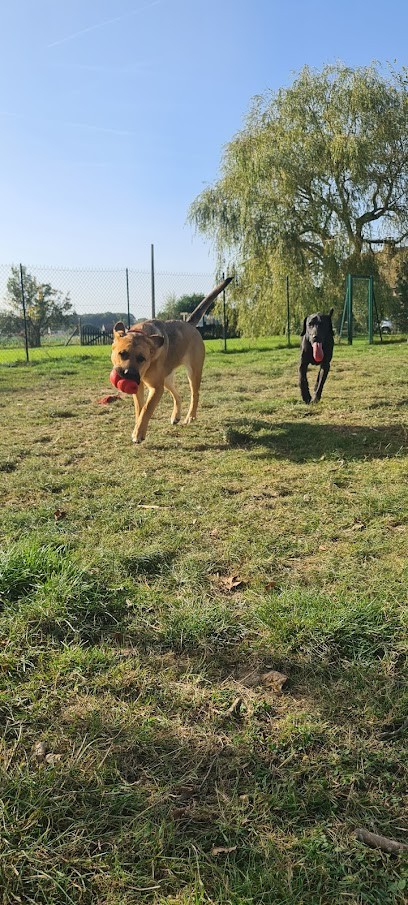 Vacances De Wouf, Pension pour Chiens aux Châtelliers-Notre-Dame
