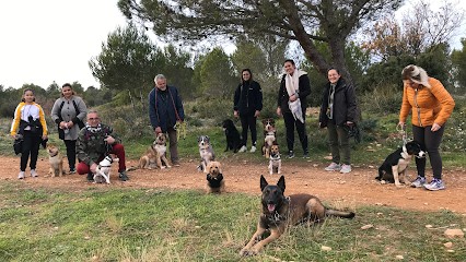 Les Amis de Juliette, Dresseur de Chiens à Orange