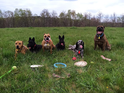 # Pôle Canin Artémis, Dresseur De Chiens à Saint-Fort-sur-le-Né