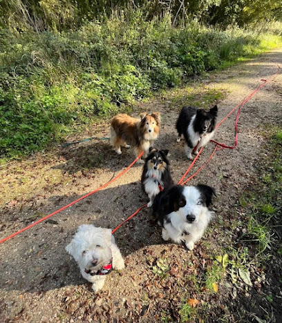 Dogs Friends - Éducation, Comportement Canin, Pension, Balade Dresseur De Chiens à Rueil-Malmaison