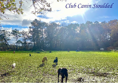 Club Canin Sioulded- Éducateur Comportementaliste Canin - Séances Individuelles, Collectives - Dresseur De Chiens à Nostang