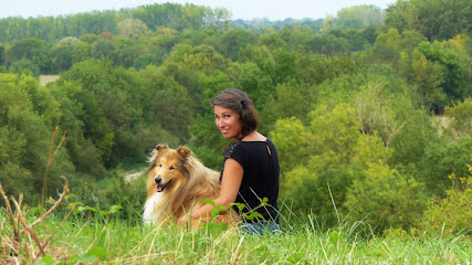 Confidences Humanimales, Dresseur De Chiens à Val-du-Layon