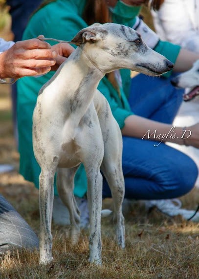 De L’Éden D’Isawan, Eleveur de Chiens à Duhort-Bachen