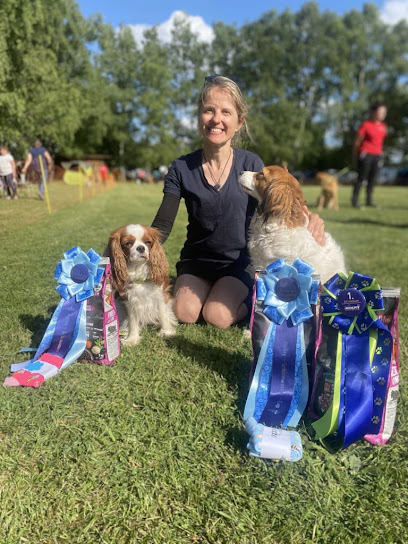 Is'animal, Dresseur De Chiens à Breitenbach-Haut-Rhin