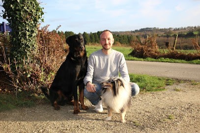 Romain Moussay - Éducateur Canin Et Comportementaliste - Diplômes D'État, Dresseur de Chiens à Saint-Jean-Brévelay