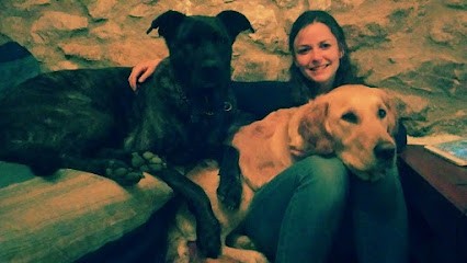 Le Chien Qui Pêche, Pension pour Chiens à Homps