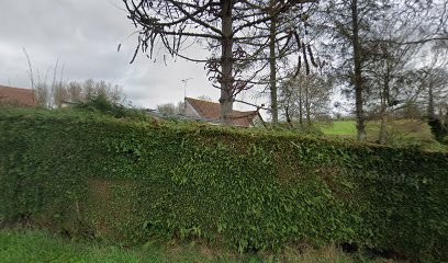Philippe Educateur Canin, Dresseur de Chiens à Longueville