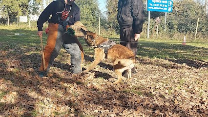 Cdo Formations, Dresseur de Chiens à Pugnac