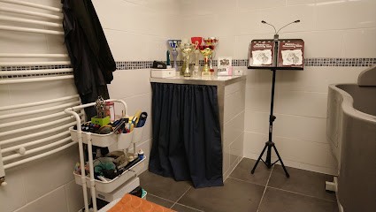 Schnauzers des Perles Arédiennes, Eleveur de Chiens à Saint-Yrieix-la-Perche