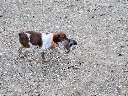 centre canin des belles d'automne, Eleveur de Chiens au Cannet-des-Maures