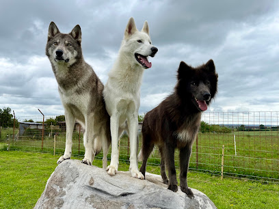 La Taonniere Du Fawn, Pension Pour Chien à Saint-Georges-le-Gaultier