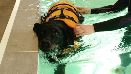 Domaine De Saint Roch, Dresseur de Chiens à Moyaux