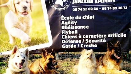 EDUCA DOG LYON, Dresseur de Chiens à Saint-Cyr-au-Mont-d'Or