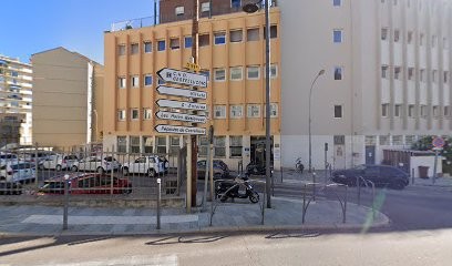 ÉLEVAGE SPITZ POMERANIEN, Eleveur de Chiens à Ajaccio