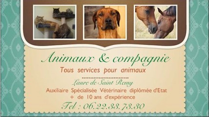 Animaux & compagnie, Eleveur de Chiens à Saint-Vincent-sur-Graon
