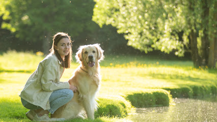 Le Domaine De Simba - Pension Canine Pension Pour Chien à Viriat