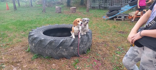 Éducation Canine De Saint Genix/ Guiers, Dresseur de Chiens à Avressieux