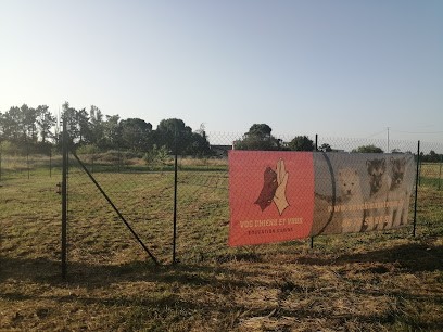 Vos chiens et vous - Éducateur canin comportementaliste Valence - Terrain Sécurisé, Dresseur de Chiens à Valence