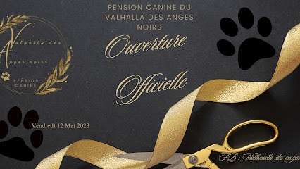 Valhalla des anges noirs, Pension pour Chiens à Ham-sous-Varsberg