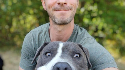 Les Chiens De La Yaute Dresseur De Chiens à Annecy