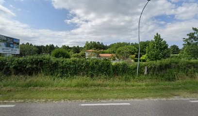 Du Bois De Gâtines, Eleveur de Chiens à Saint-Jean-d'Illac