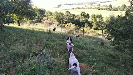 Rinaudo Robert, Pension pour Chiens à Vabres-l'Abbaye