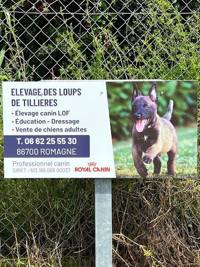 Élevage Des Loups De Tillières, Eleveur de Chiens à Romagne