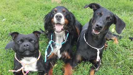 Aux chalets d'Heaven: Pension chiens chats et éducation rééducation canine sur Issoire et Clermont-Ferrand, Pension pour Chiens à Saurier