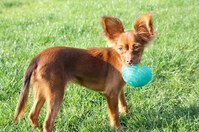 EARL la Nouknoukerie, Eleveur de Chiens au Temple