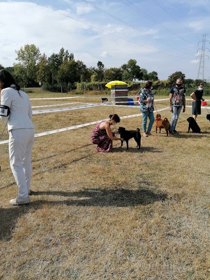 CEC MOISENAY, Dresseur de Chiens à Moisenay