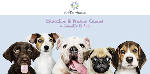 Bella Home, Pension pour Chiens à Champigny-sur-Marne