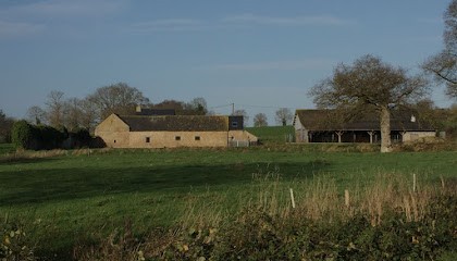 DSDO Pension Canine, Pension pour Chiens à Saint-Donan