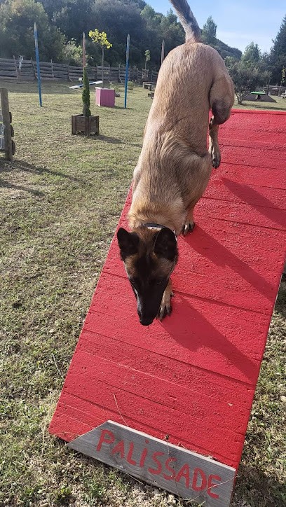 ANIMAX-SERVICES, Pension pour Chiens à Domazan