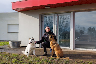 Centre Canin Decript'dog – Educateur Et Comportementaliste Canin À Merville, Dresseur De Chiens à Merville