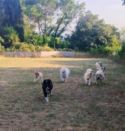 Pension Canine L'oppid'aumes, Pension Pour Chien à Aumes