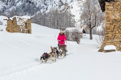 Banquise traineau, Eleveur de Chiens à Saint-Paul-sur-Ubaye
