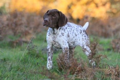 Milobre de Bouisse, Eleveur de Chiens à Bouisse