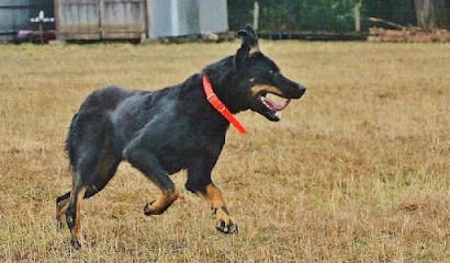 Les Barons Noirs Della Foppa, Eleveur de Chiens à Treteau