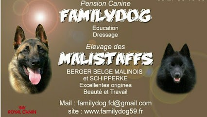 familydog canine pension, Pension pour Chiens à Fenain