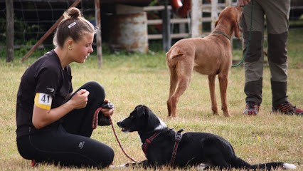 Esprit Canin 35 - Éducation, agility et pet-sitting, Dresseur de Chiens à Lanhélin