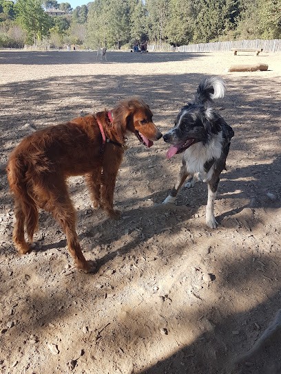Nathalie DELMAS. Educateur canin comportementaliste diplômée d'état, Dresseur de Chiens à Saint-Clément-de-Rivière