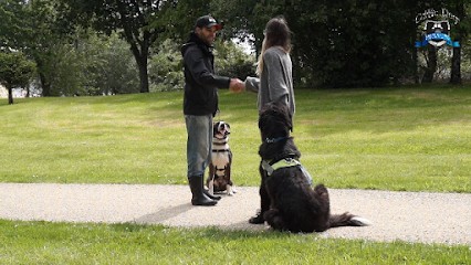Celtic Dogs, Dresseur de Chiens à Melgven