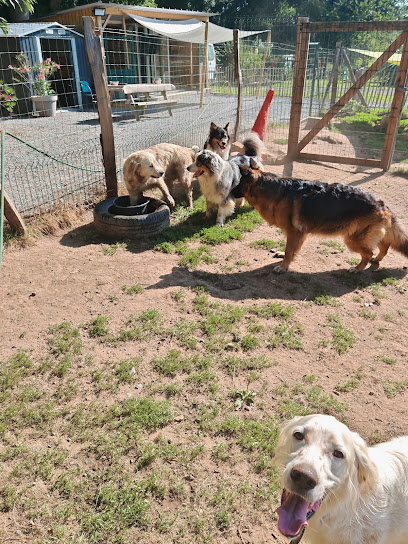 Le Motel À Toutou, Pension Pour Chien à Saint-Domineuc