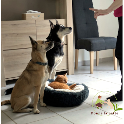 Donne La Patte - Educateur Comportementaliste Canin, Dresseur De Chiens à Ceyrat