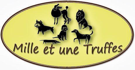 BRICOLES & CIE - 40320, Pension pour Chiens à Vielle-Tursan